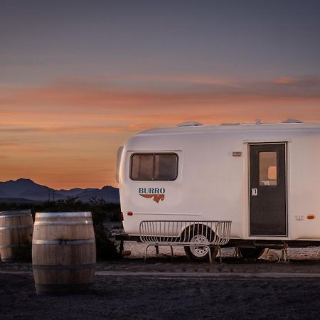 Tarantula Ranch Campground & Vineyard Near Death Valley National Park Amargosa Valley Eksteriør bilde