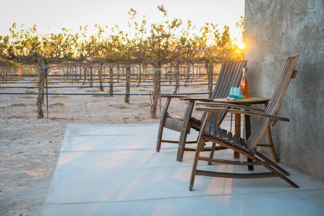 Tarantula Ranch Campground & Vineyard Near Death Valley National Park Amargosa Valley Eksteriør bilde