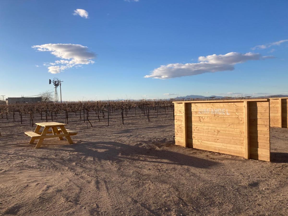 Tarantula Ranch Campground & Vineyard Near Death Valley National Park Amargosa Valley Eksteriør bilde