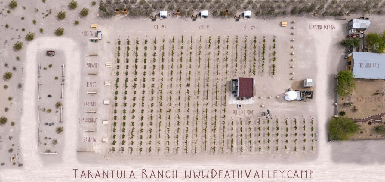 Tarantula Ranch Campground & Vineyard Near Death Valley National Park Amargosa Valley Eksteriør bilde